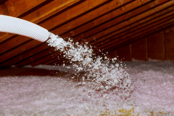 Panthersville, GA Insulation Contractor Company
