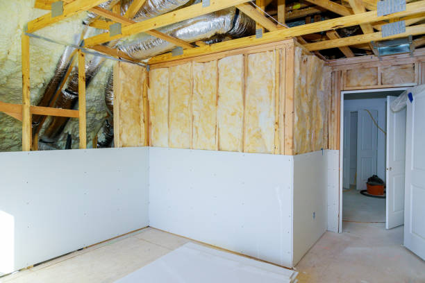Best Insulation Maintenance and Repair in Panthersville, GA