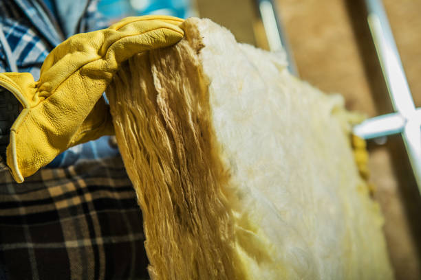 Best DIY Insulation Kits and Guidance in Panthersville, GA